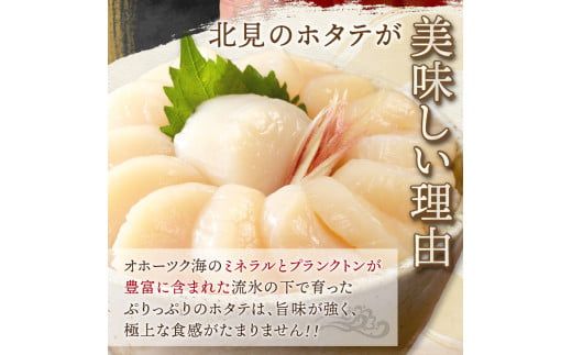 北海道オホーツク海産 ホタテ貝柱 800g 生食用 ( 海鮮 魚介 魚介類 貝 貝類 帆立 ほたて お刺身 刺身 貝柱 海鮮丼 帆立貝柱 人気 ふるさと納税 ホタテ )【037-0007】