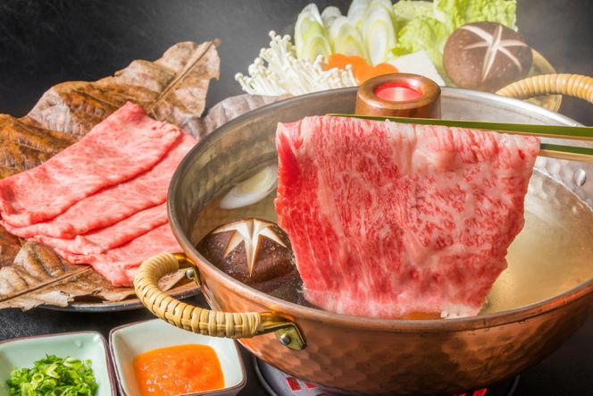 訳あり 博多和牛 A4以上 しゃぶしゃぶ すき焼き スライス 250g & 切り落とし 500g 計750g【部位おまかせ】/ MEAT PLUS / 福岡県 筑紫野市 [21760211] 牛肉 和牛 黒毛和牛 冷凍