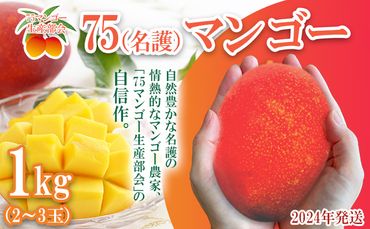 【75マンゴー生産部会】 75（名護）マンゴー　1kg