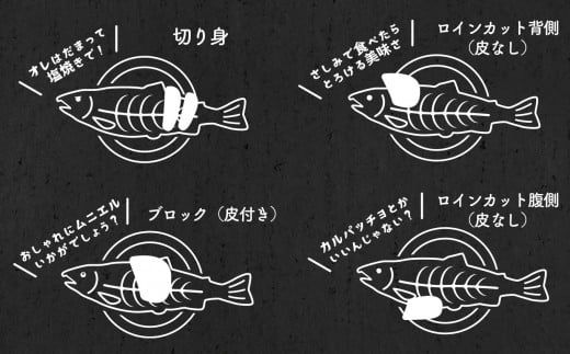 岩手大槌サーモン ～家族とみんなで。～ 800g｜サーモン国産 刺身 刺身冷凍 小分け サーモン 冷凍 岩手県大槌町【0tsuchi01311】