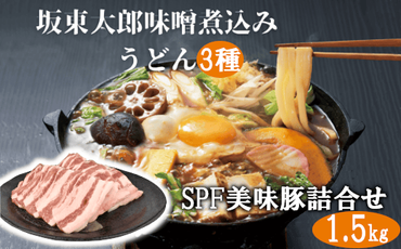 味噌 煮込み うどん と SPF 美味豚 詰合せ セット 坂東太郎 人気商品 生うどん 味噌味 白まるごま 激辛 3種 食べ比べ 常陽牧場 SPF 豚 豚肉 バラ 肩ロース ロース [BE001us]