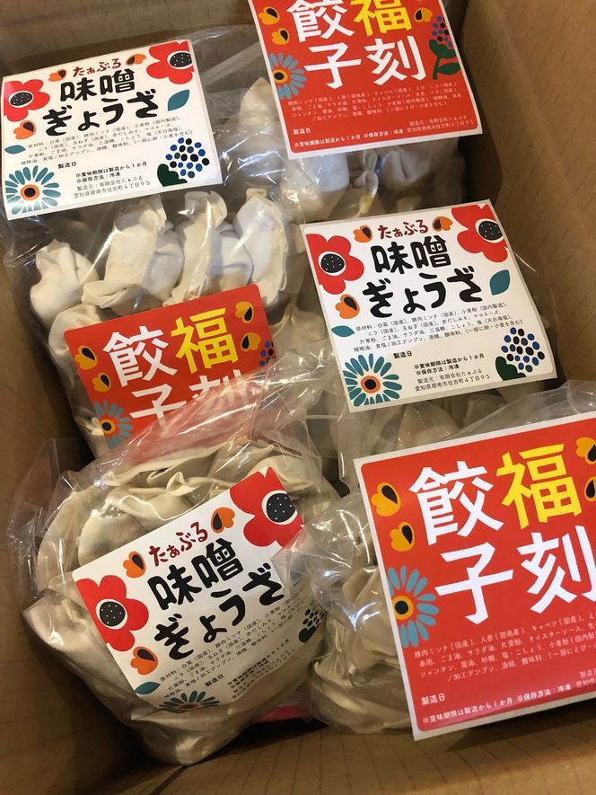 【ボリューム満点】居酒屋のおかあちゃん手作り “パリパリひと口ぎょうざ”と“もちもち餃子”コラボセット 合計240個 H136-032