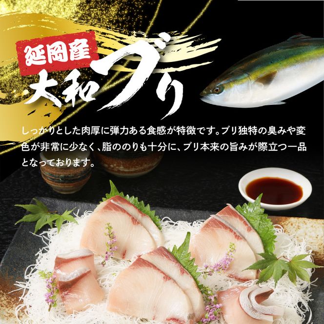 大和ブリの切り身セット　約1.2kg　N072-ZA824