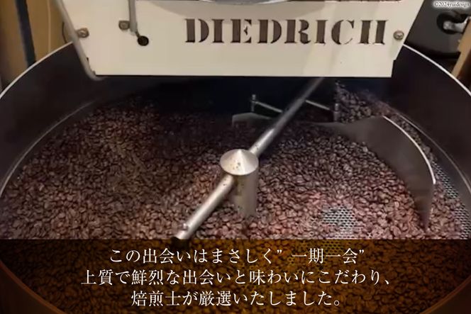 コーヒー 焙煎士おススメ コーヒー豆 セット 200g 3種 計600g [アンカーコーヒー 宮城県 気仙沼市 20565128] 珈琲 珈琲豆 焙煎 自家焙煎