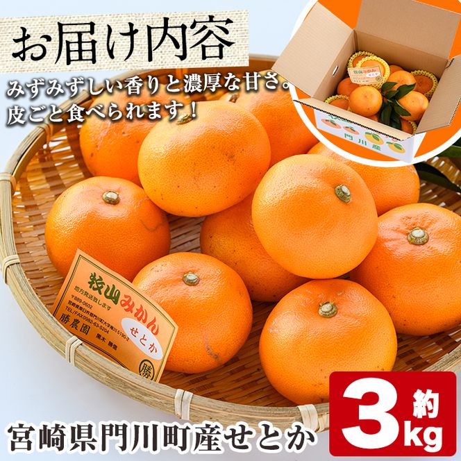 ＜先行予約受付中！2026年2月下旬～4月末発送予定＞宮崎県門川町産せとか(約3kg) 柑橘 果物 数量限定 期間限定 国産 フルーツ 常温保存 遠見半島 宮崎県 門川町 【勝農園】【AE-18】