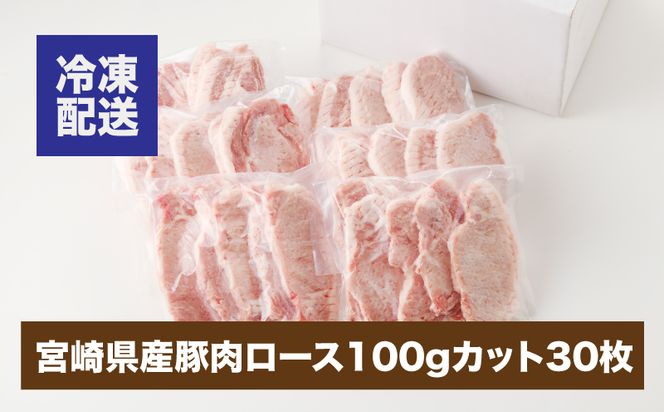 ＜贅沢宮崎県産豚肉ロース100gカット30枚＞ K16_0018_1