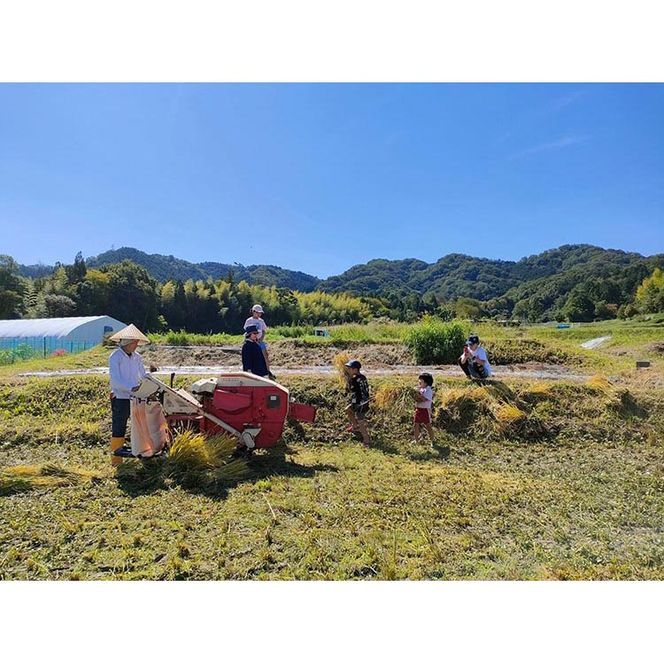 京都府・亀岡産 栽培期間中農薬不使用 亀岡学校給食プロジェクト 自然栽培米の米粉 10kg(500g×20) ※離島への発送不可