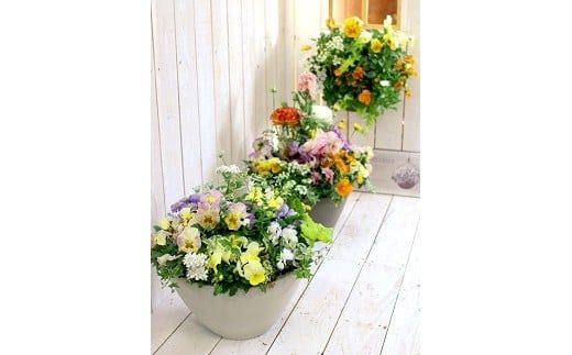 C028 花うるるのおまかせプレミアム寄せ植え