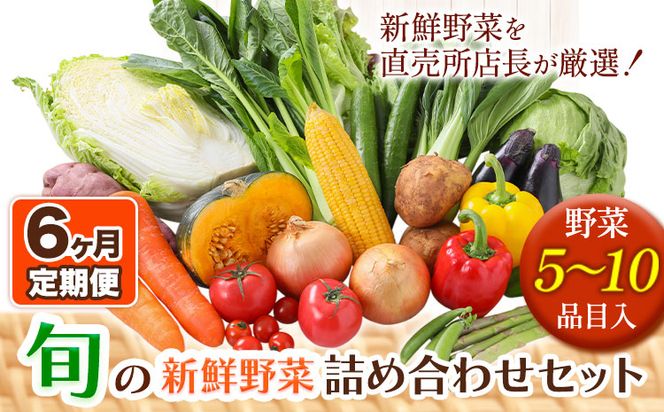 【6ヶ月定期便】旬の新鮮野菜詰め合わせセット 野菜5～10品目入 青空市きらり《お申込み月の翌月から出荷開始》岡山県 矢掛町 野菜 野菜詰め合わせ トマト きゅうり アスパラガス 玉ねぎ リーキ 送料無料---osy_cakystei_24_43500_mo6num_s---