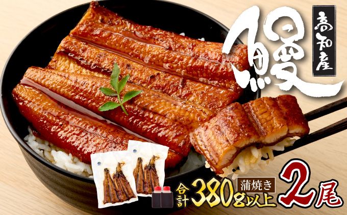 初音の厳選高知県産うなぎ蒲焼き2尾 hn093!
