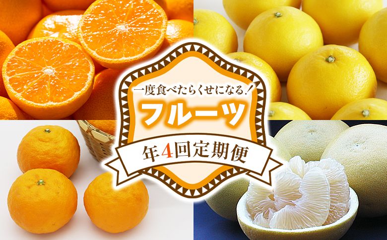 [定期便]一度食べたらくせになる! フルーツ 年4回定期便 Wku-0045