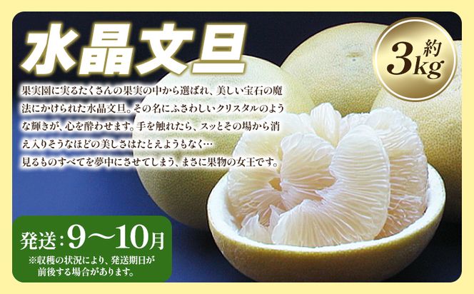 【定期便】一度食べたらくせになる！ フルーツ 年4回定期便 Wku-0045