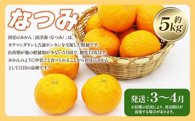 【定期便】一度食べたらくせになる！ フルーツ 年4回定期便 Wku-0045