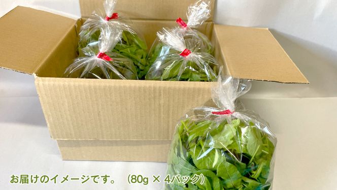 黒澤農園 の ベビーリーフサラダ （ 80g × 4パック ）ファミリーサイズ ベビーリーフ サラダ 生野菜 食べやすい 若葉 ファミリー 旬 新鮮 国産 彩り 大容量 [DS02-NT]