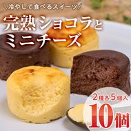 濃厚ショコラ・チーズケーキ (合計10個・2種×5個) チーズケーキ チーズ スイーツ 冷凍 お菓子 おやつ 焼き菓子 お取り寄せ 大分県 佐伯市【AJ75】【(有)ケーキ大使館クアンカ・ド－ネ】