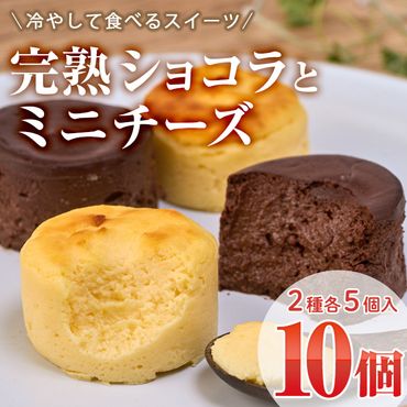 濃厚ショコラ・チーズケーキ (合計10個・2種×5個) チーズケーキ チーズ スイーツ 冷凍 お菓子 おやつ 焼き菓子 お取り寄せ 大分県 佐伯市【AJ75】【(有)ケーキ大使館クアンカ・ド－ネ】