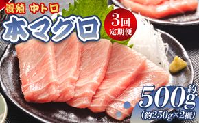 中トロ 定期便 3回 約250g 2冊 養殖 本マグロ 合計1.5kg Woo-0008