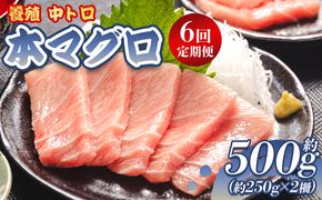 中トロ 定期便 6回 約250g 2冊 養殖 本マグロ 合計3kg Woo-0009