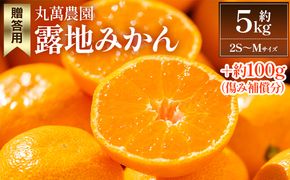 【2025年出荷分】露地みかん(2S～Mサイズ) 5kg 贈答用 丸萬農園 mn-0001