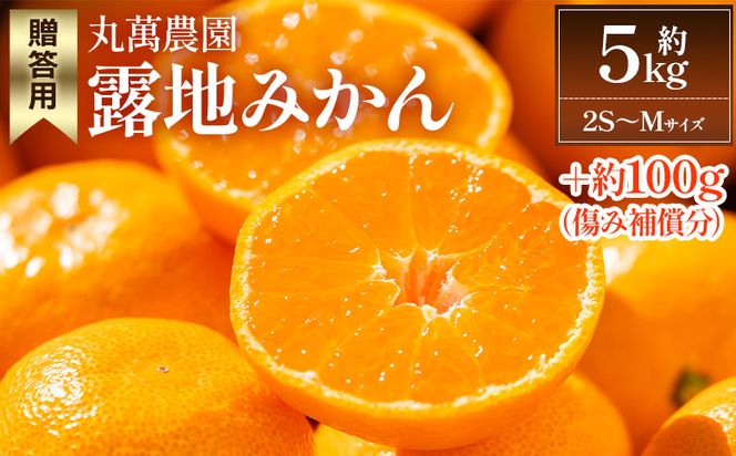 【2025年出荷分】露地みかん(2S～Mサイズ) 5kg 贈答用 丸萬農園 mn-0001