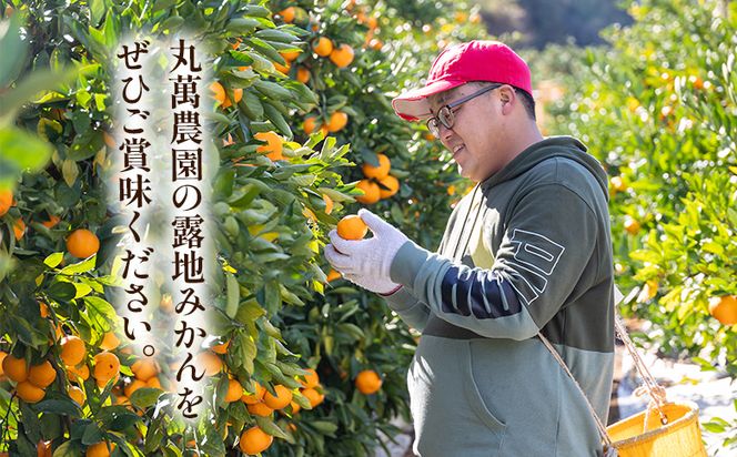 【2025年出荷分】露地みかん(2S～Mサイズ) 5kg 訳あり 丸萬農園 mn-0004