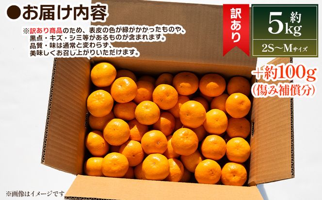 【2025年出荷分】露地みかん(2S～Mサイズ) 5kg 訳あり 丸萬農園 mn-0004