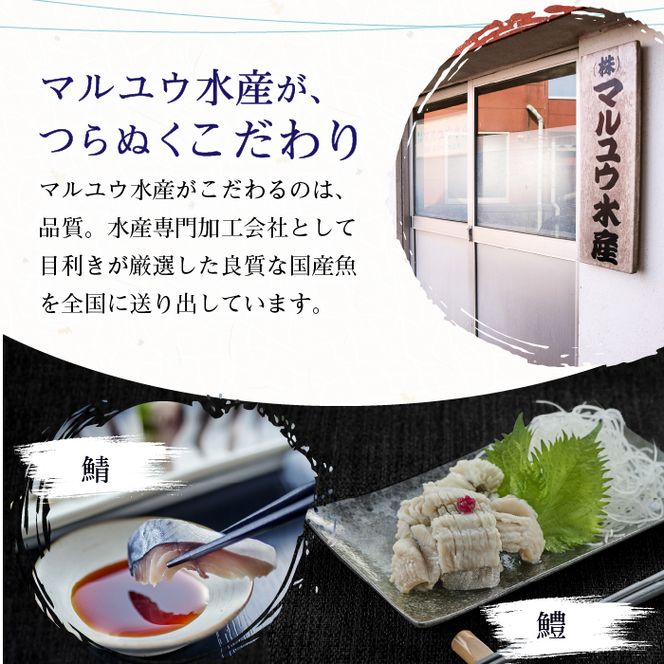 鱧の湯引き 酢みそ入り(計480g・80g×6P)はも ハモ 骨切り 海鮮 おつまみ 国産 小分け 冷凍 魚介 宮崎県産 酢味噌【MR-4】【マルユウ水産】