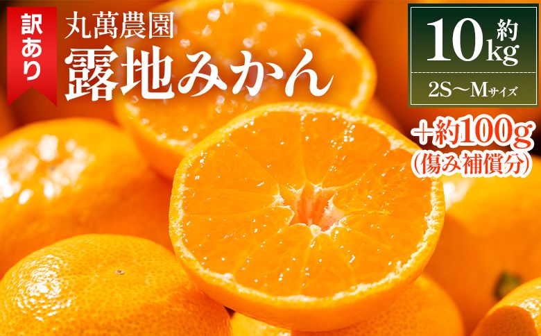 みかん [年内発送]露地みかん(2S〜Mサイズ) 10kg 家庭用 丸萬農園 mn-0013