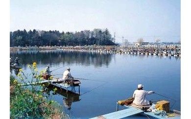 y錧SzK1572 eJÂւ畩Z^[1ތ3Zbg