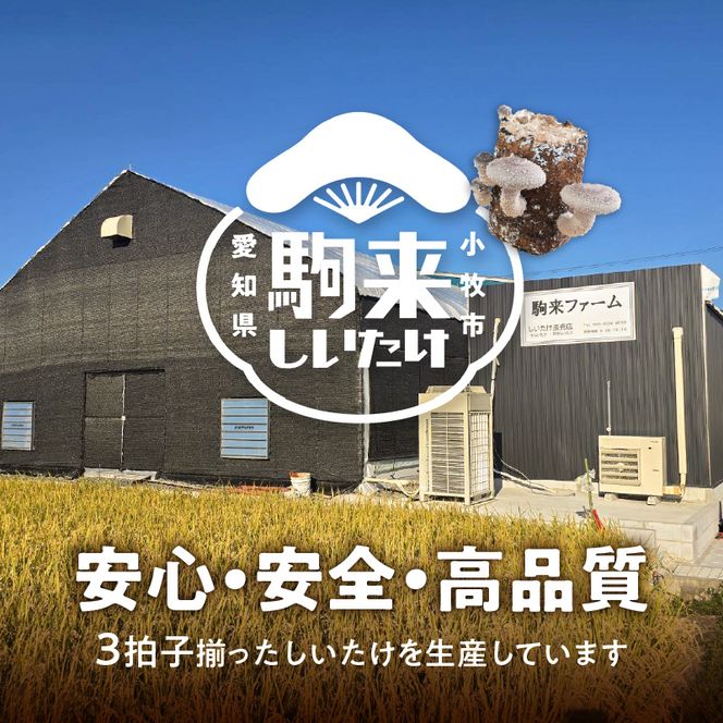 駒来ファームの肉厚乾しいたけ・スライス乾しいたけ［131L02］極上 肉厚 乾しいたけ 乾シイタケ 乾椎茸 干ししいたけ 干し椎茸 スライス 安心 安全 国産 採れたて 新鮮 きのこ 野菜