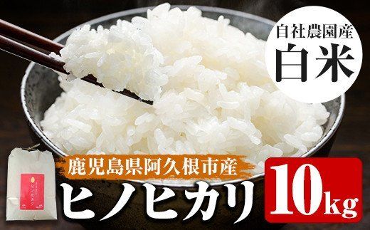 令和4年産＞鹿児島県産自社農園産のお米！ヒノヒカリ(10kg・1袋)国産