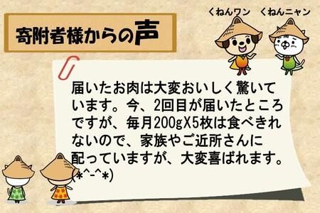 佐賀牛ヒレステーキ200g×5枚【10ヶ月連続定期便】【定期便 10回 ステーキ ヒレ 冷凍 A4 A5 赤身 牛肉 希少部位 ブランド牛 人気 ランキング 佐賀県産 黒毛和牛】(H065110)