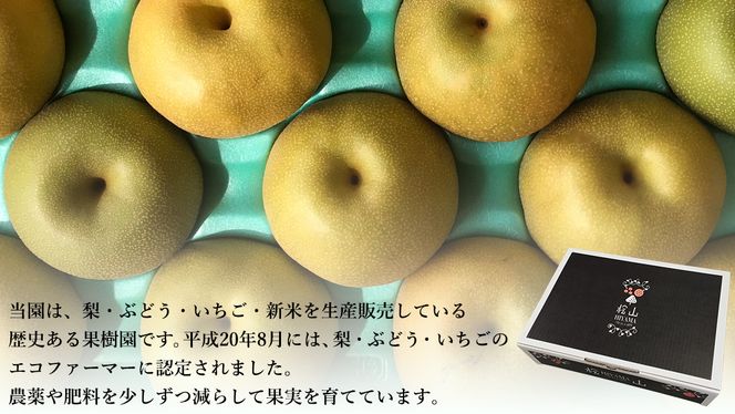 【 先行予約 】茨城県産 『幻の梨』 秀玉 約5kg 11玉～14玉( 茨城県共通返礼品 : 常陸太田市 )【 2025年 8月下旬頃より発送 】 フルーツ 果物 国産 日本産 梨 ナシ なし 和梨 期間限定 数量限定 [EN006us]