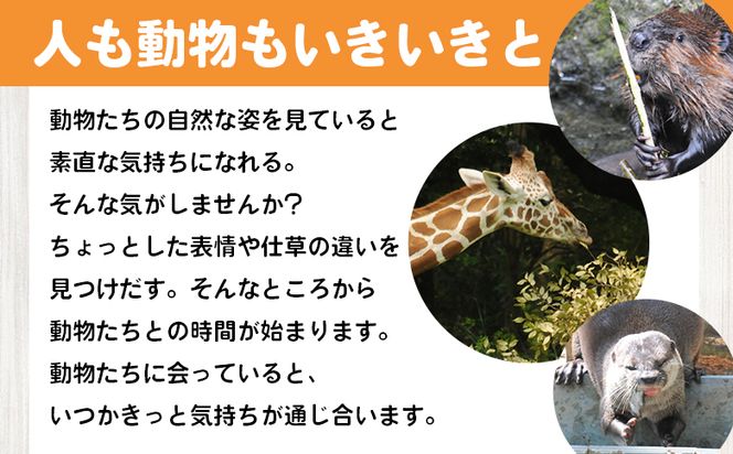 【返礼品なし】高知県立のいち動物公園 動物支援(飼料費支援) 30,000円 ni-0008