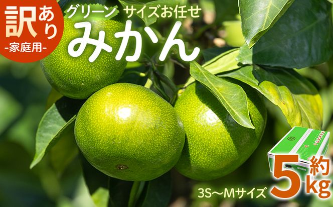 【2026年9月より順次配送】訳あり(家庭用) サイズお任せ グリーンみかん 5kg 3S〜Mサイズ  みかん be-0117