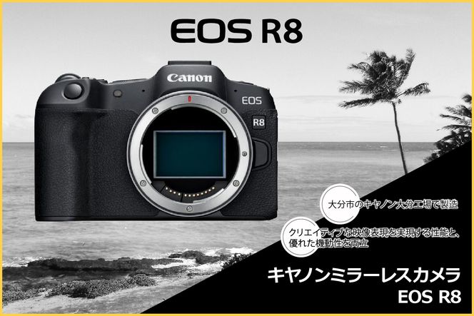 【R14148】キヤノンミラーレスカメラ EOS R8