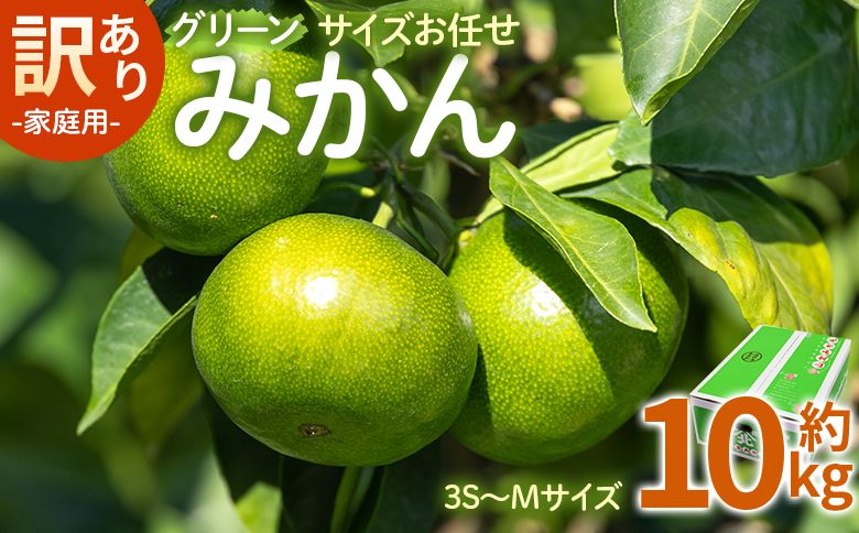 訳あり(家庭用) サイズお任せ グリーンみかん 10kg 3S〜Mサイズ be-0100