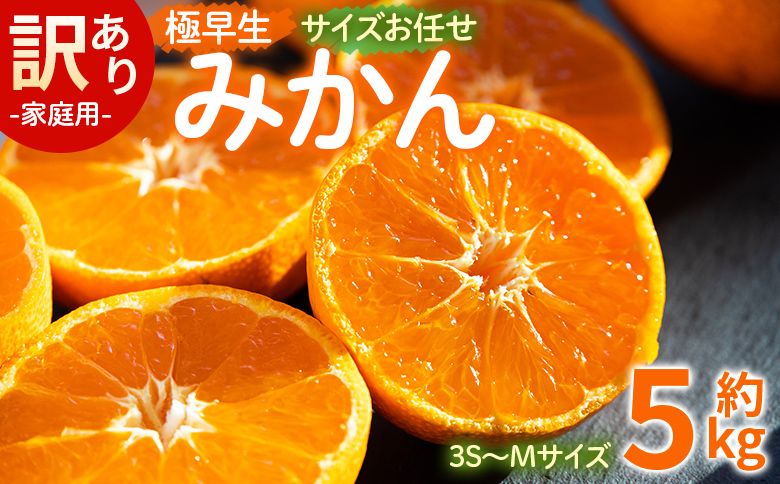 訳あり(家庭用) サイズお任せ 極早生みかん 5kg 3S〜Mサイズ - 訳アリ フルーツ 果物 くだもの 果実 甘い あまい 酸味 蜜柑 ミカン 柑橘 ご自宅用 旬 季節 be-0098