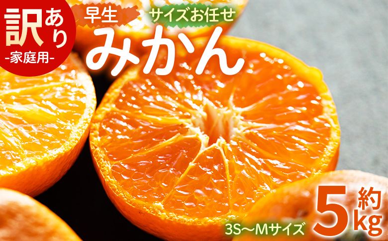 訳あり(家庭用) サイズお任せ 早生みかん 5kg 3S〜Mサイズ - 訳アリ フルーツ 果物 くだもの 果実 甘い あまい 酸味 蜜柑 ミカン 柑橘 ご自宅用 旬 季節 be-0099