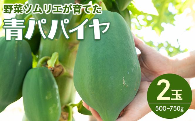 パパイヤ ２玉 青パパイヤ 野菜ソムリエが育てた mj-0017