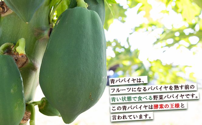 パパイヤ ２玉 青パパイヤ 野菜ソムリエが育てた mj-0017