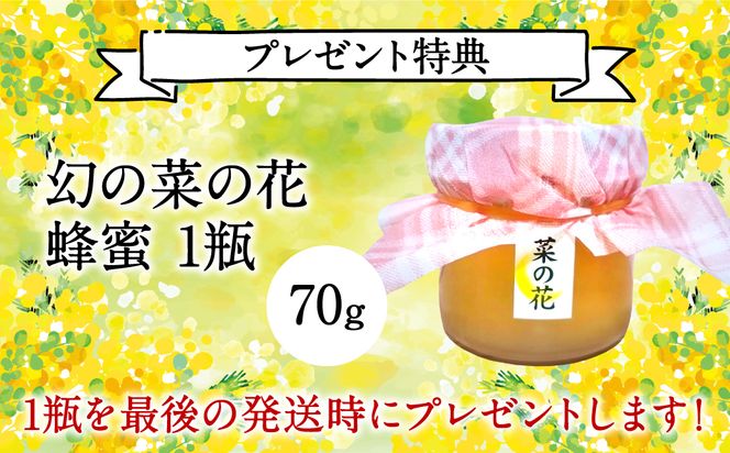 【先行予約】 【6回定期便】菜の花畑のお米 「特別栽培米」合計30kg （5kg×6回）令和6年産 にこまる 白米 お米【2024年11月上旬より発送開始】