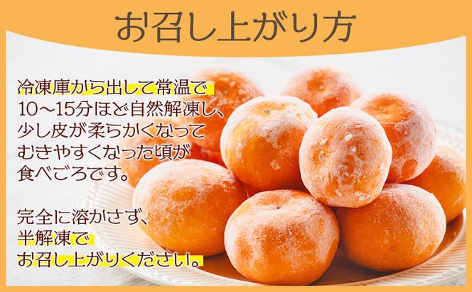 冷凍みかん 1kg 国産 蜜柑 ミカン 山北みかん フルーツ 冷凍フルーツ スムージー アイス サワー 果物 自然栽培 高知県 香南市 冷凍 eh-0038