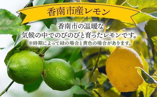 レモン 1kg - 香南市産 国産 檸檬 れもん 果物 くだもの フルーツ 野菜 柑橘 果汁 料理 アレンジ はちみつレモンパウンドケーキ 高知県 香南市 常温 冷蔵 sj-0001