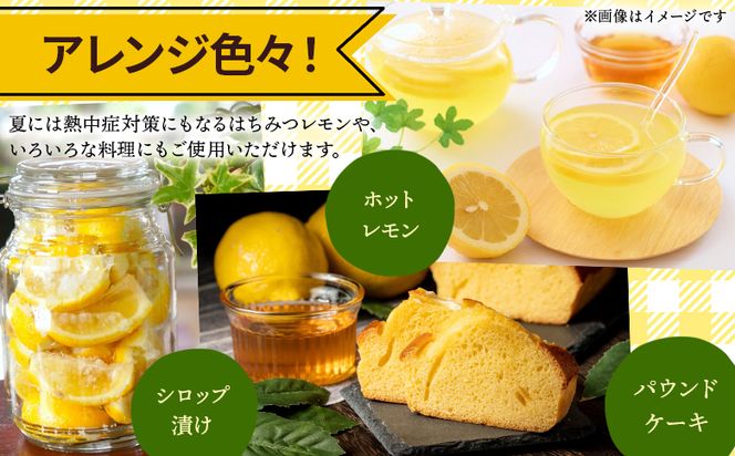 レモン 10kg 香南市産 - 香南市産 国産 檸檬 れもん 果物 くだもの フルーツ 野菜 柑橘 果汁 料理 アレンジ はちみつレモンパウンドケーキ 高知県 香南市 常温 冷蔵 sj-0006