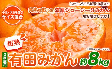＜先行予約＞ 家庭用　超熟 有田 みかん 8kg +240g（傷み補償分）【 わけあり ・ 訳あり 】【光センサー選果】池田鹿蔵農園@日高町（池田農園株式会社）《11月上旬-1月中旬頃より順次出荷》和歌山県 日高町 みかん 柑橘 ミカン 蜜柑【配送不可地域あり】---wsh_ikd30_a111_23_16000_8kg---