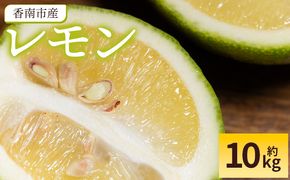 レモン 10kg 香南市産 - 香南市産 国産 檸檬 れもん 果物 くだもの フルーツ 野菜 柑橘 果汁 料理 アレンジ はちみつレモンパウンドケーキ 高知県 香南市 常温 冷蔵 sj-0006