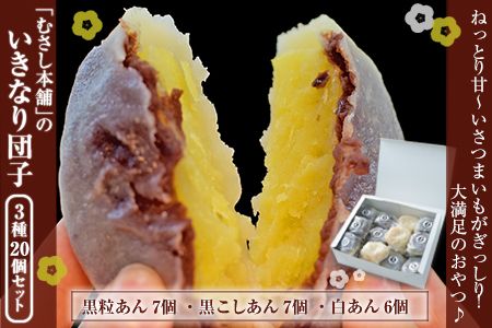 むさし本舗のいきなり団子 20個入り(黒粒7個、黒こし7個、白あん6個) 熊本県長洲町 《60日以内に出荷予定(土日祝除く)》---sn_fmusasidango_60d_r7_10500_20p---