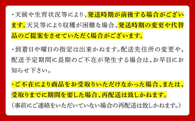 【2026年8月下旬～発送】シャインマスカット 約2kg（約2～5房）/ ぶどう ブドウ 葡萄 マスカット しゃいんますかっと フルーツ 果物 / 南島原市 / 長崎県農産品流通合同会社 [SCB076]