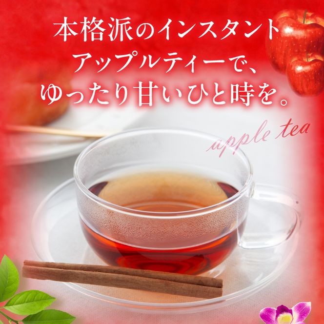 名糖産業　アップルティー［134T14］